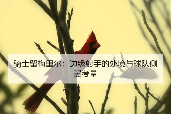 骑士留梅里尔：边缘射手的处境与球队侧翼考量